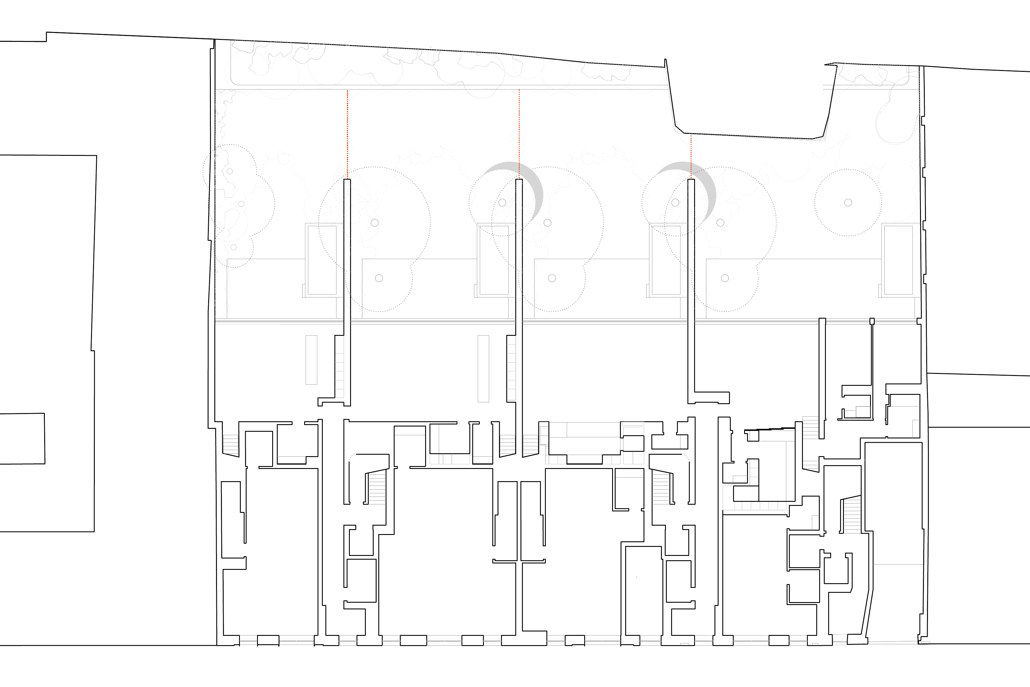 Planta — Jungle Lofts
